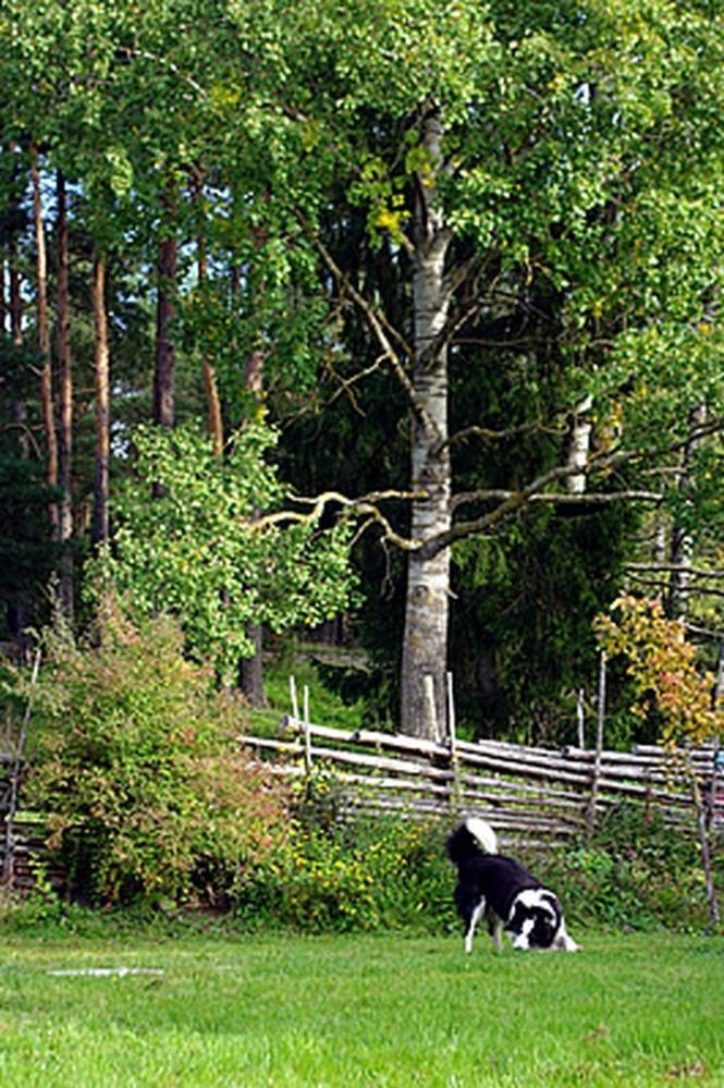 Smultronboda Fargard Edsbruk ภายนอก รูปภาพ